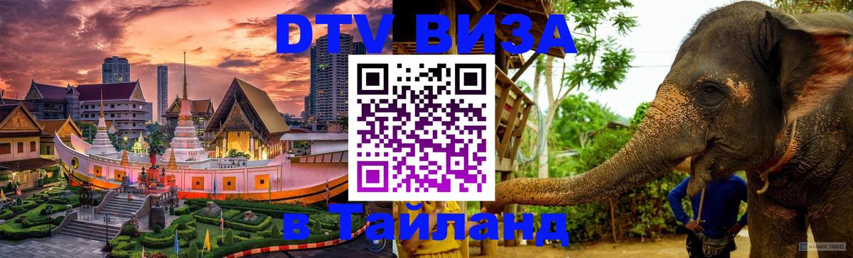 Сколько стоит DTV виза — актуальные цены, оформление даже без документов - Северодвинск  20.11.2025 